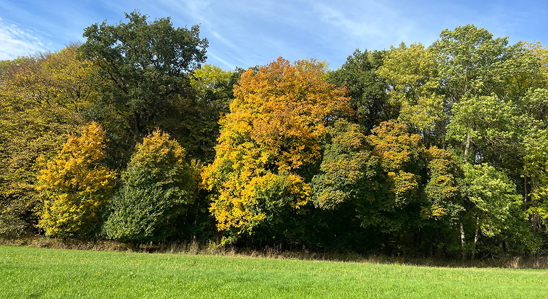 wandern in und um Bründersen