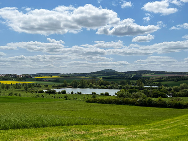 Das Naturschutzgebiet Glockenborn befindet sich im Eigentum der Stadt Wolfhagen.