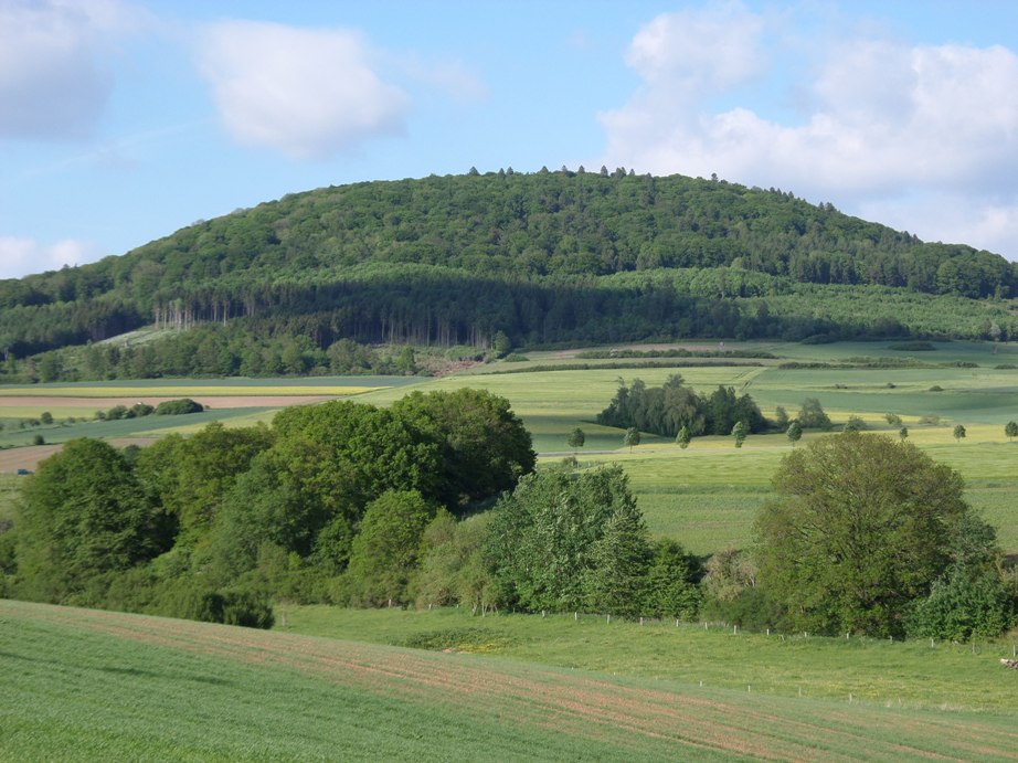 Blick übers Pfaffental