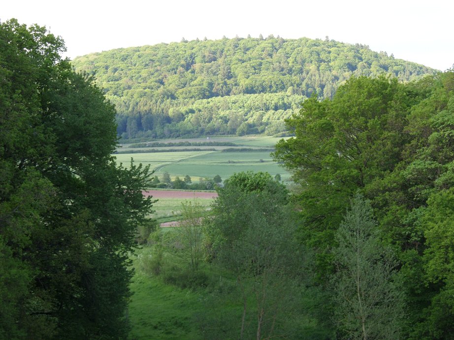 Blick übers Pfaffental