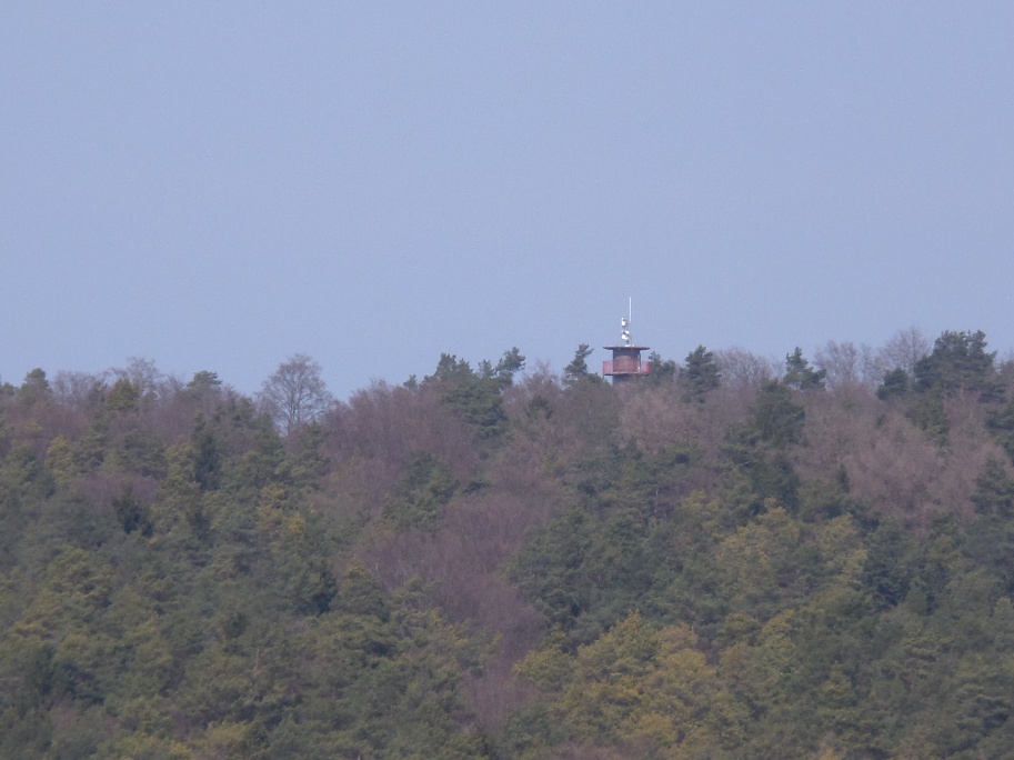 Blick zum Ofenbergturm